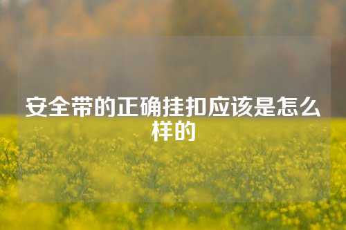 安全带的正确挂扣应该是怎么样的