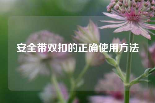 安全带双扣的正确使用方法