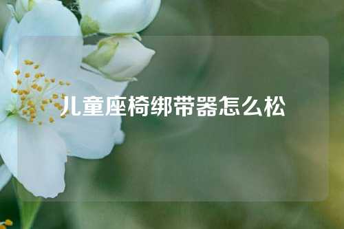 儿童座椅绑带器怎么松