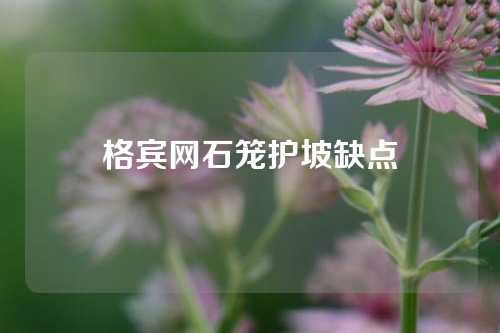 格宾网石笼护坡缺点