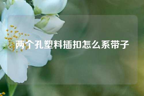 两个孔塑料插扣怎么系带子