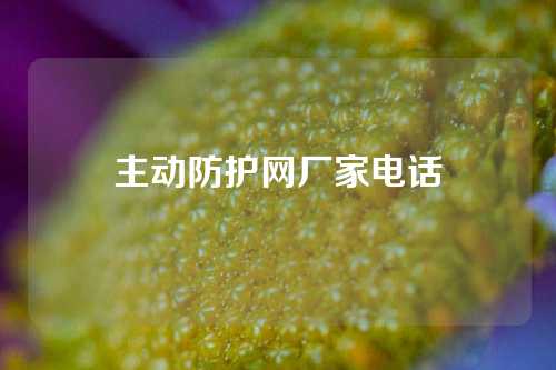 主动防护网厂家电话