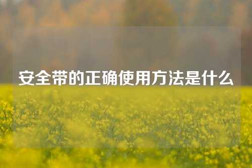 安全带的正确使用方法是什么