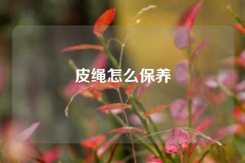 皮绳怎么保养