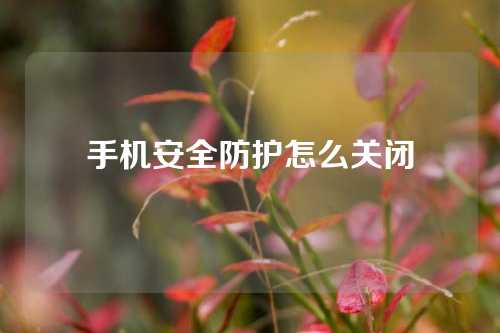 手机安全防护怎么关闭