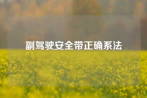 副驾驶安全带正确系法