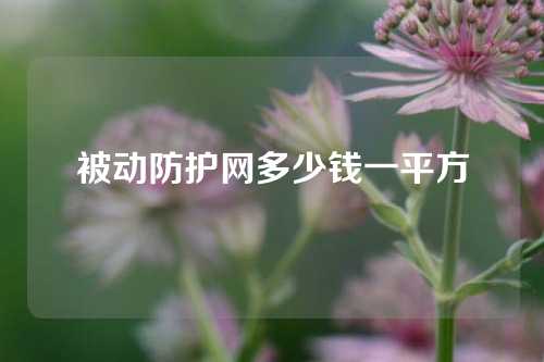 被动防护网多少钱一平方