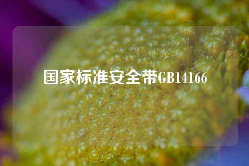 国家标准安全带GB14166