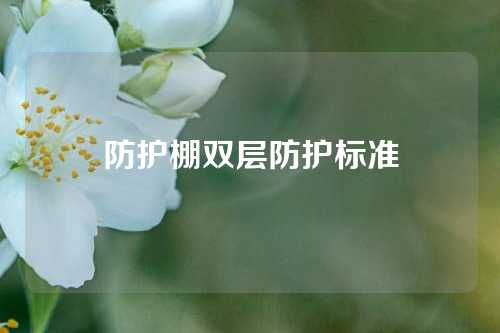 防护棚双层防护标准