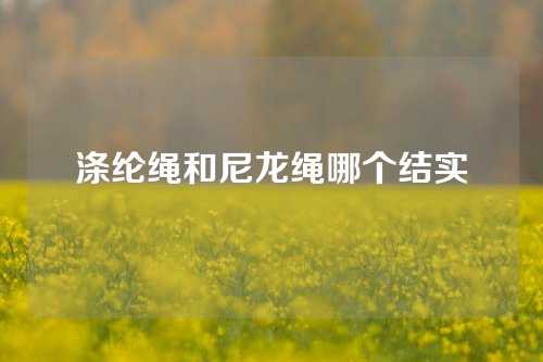 涤纶绳和尼龙绳哪个结实