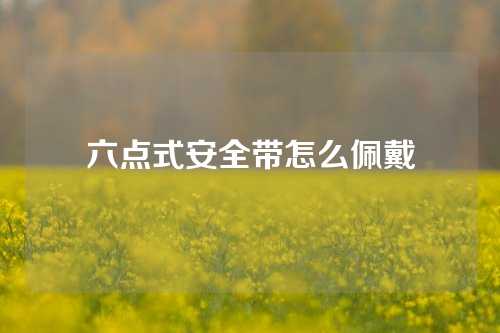 六点式安全带怎么佩戴