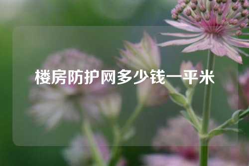 楼房防护网多少钱一平米