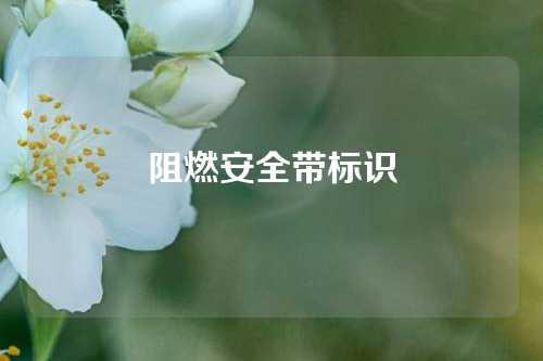 阻燃安全带标识