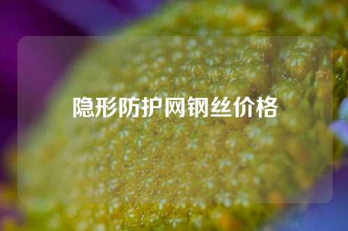 隐形防护网钢丝价格