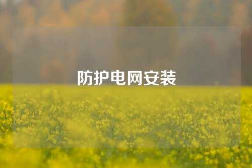 防护电网安装