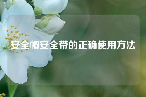 安全帽安全带的正确使用方法