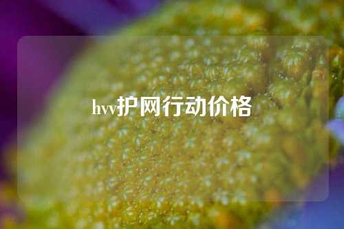 hvv护网行动价格