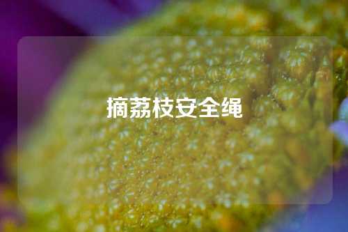 摘荔枝安全绳