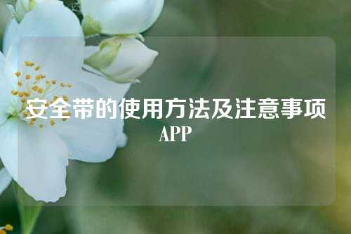 安全带的使用方法及注意事项APP