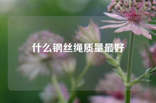 什么钢丝绳质量最好