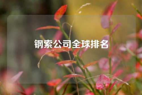 钢索公司全球排名