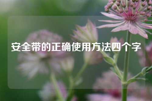 安全带的正确使用方法四个字