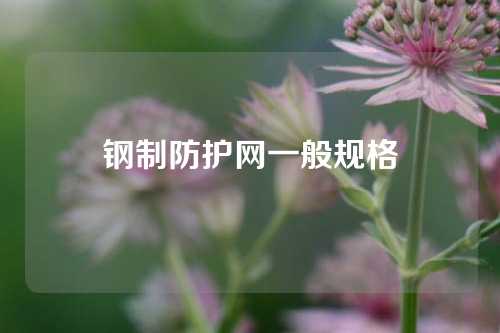 钢制防护网一般规格