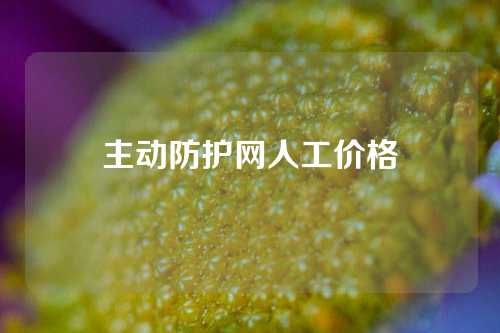 主动防护网人工价格