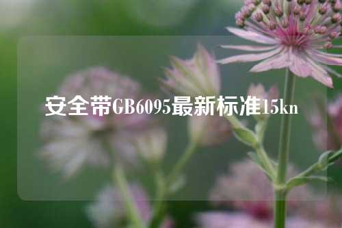 安全带GB6095最新标准15kn