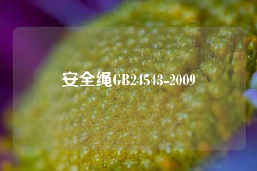 安全绳GB24543-2009