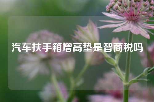 汽车扶手箱增高垫是智商税吗