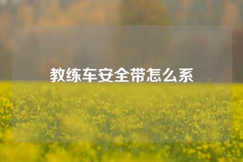 教练车安全带怎么系