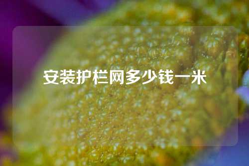 安装护栏网多少钱一米