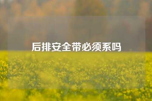 后排安全带必须系吗