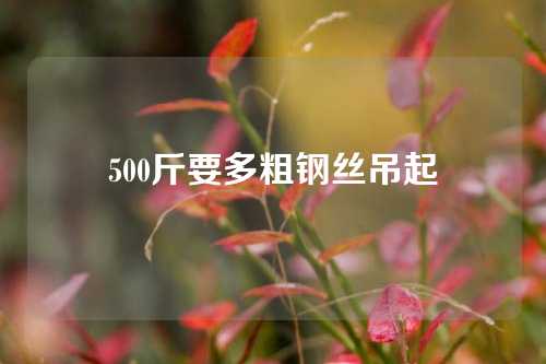 500斤要多粗钢丝吊起