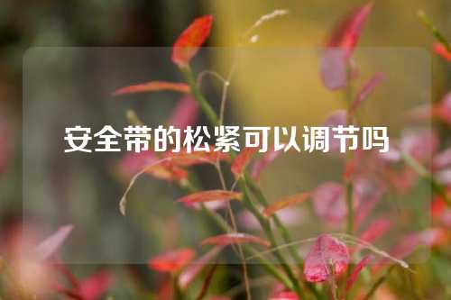 安全带的松紧可以调节吗