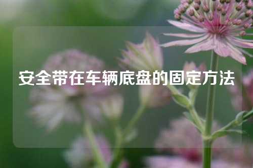 安全带在车辆底盘的固定方法