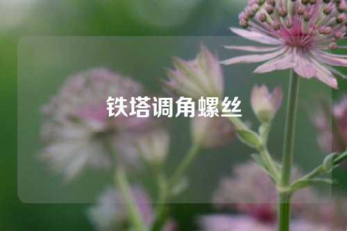 铁塔调角螺丝