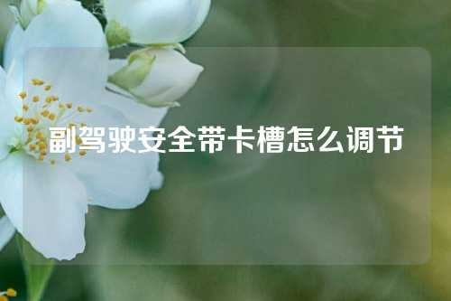 副驾驶安全带卡槽怎么调节