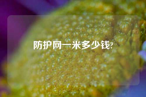 防护网一米多少钱?