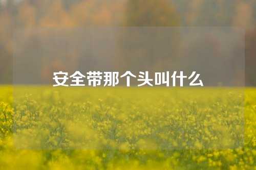 安全带那个头叫什么