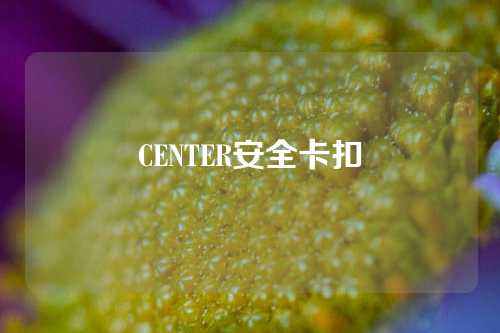 CENTER安全卡扣