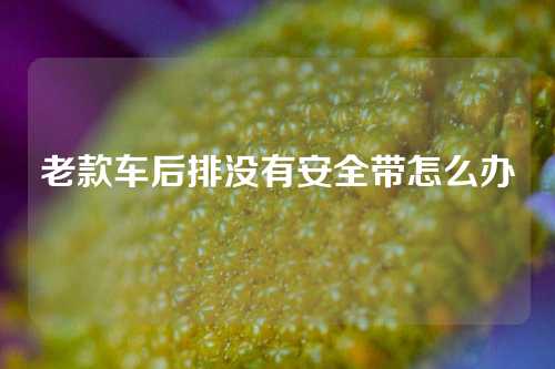 老款车后排没有安全带怎么办