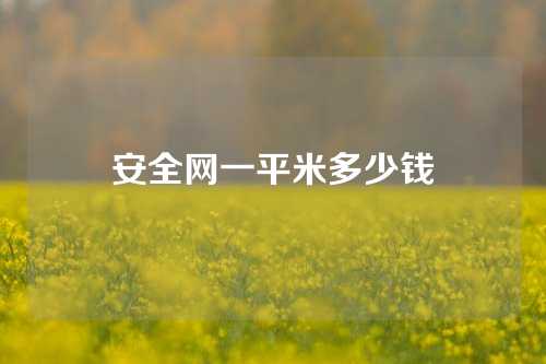 安全网一平米多少钱