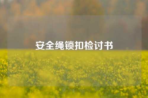 安全绳锁扣检讨书