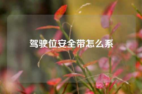 驾驶位安全带怎么系