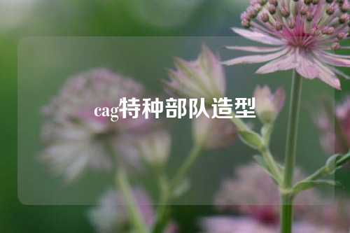 cag特种部队造型