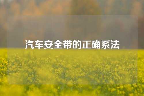 汽车安全带的正确系法