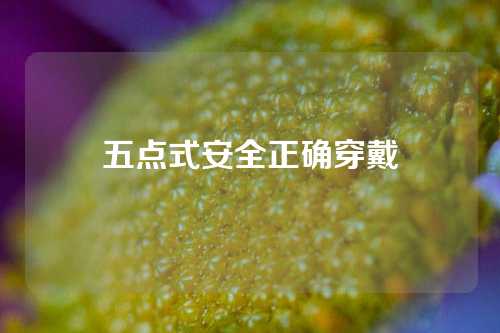 五点式安全正确穿戴