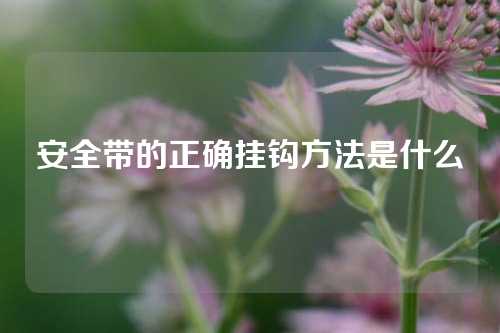 安全带的正确挂钩方法是什么